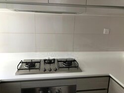 The Skywoods (D23), Condominium #456185801